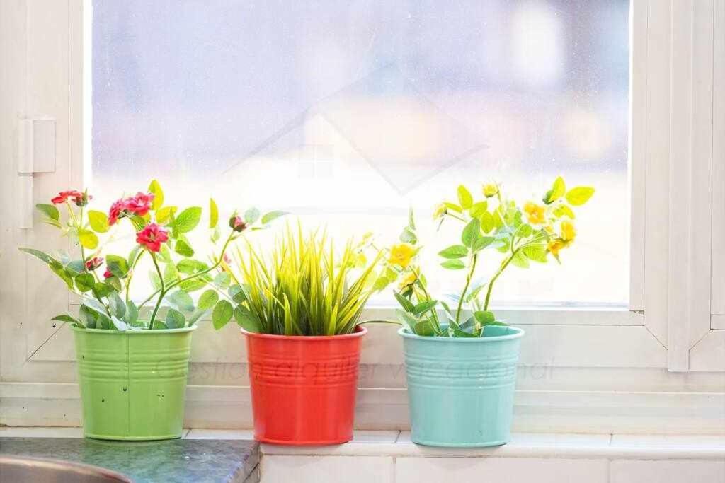 Colours Apartamento Овиедо Екстериор снимка